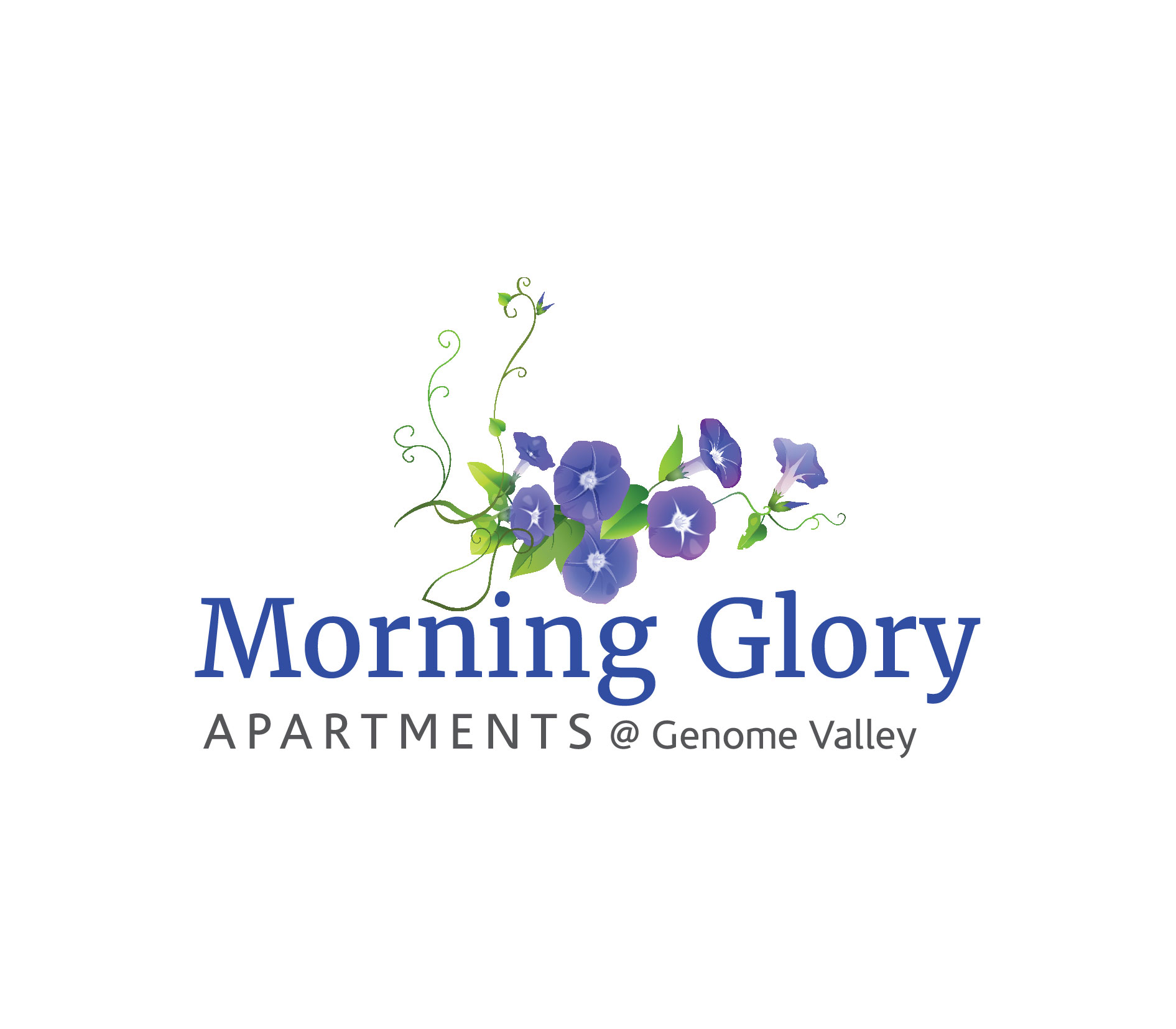 Morning Glory Apartments